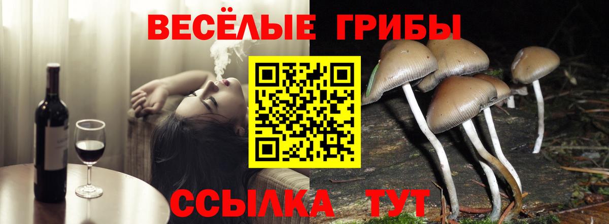 Галлюциногенные грибы мицелий  Вход с VPN  Первоуральск 
